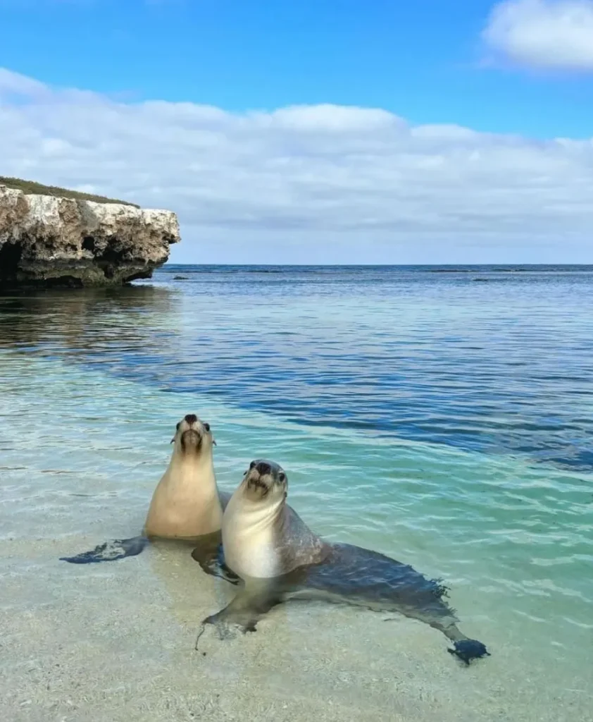 Jurien Bay