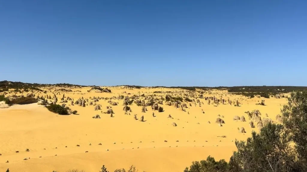 Pinnacles Desert