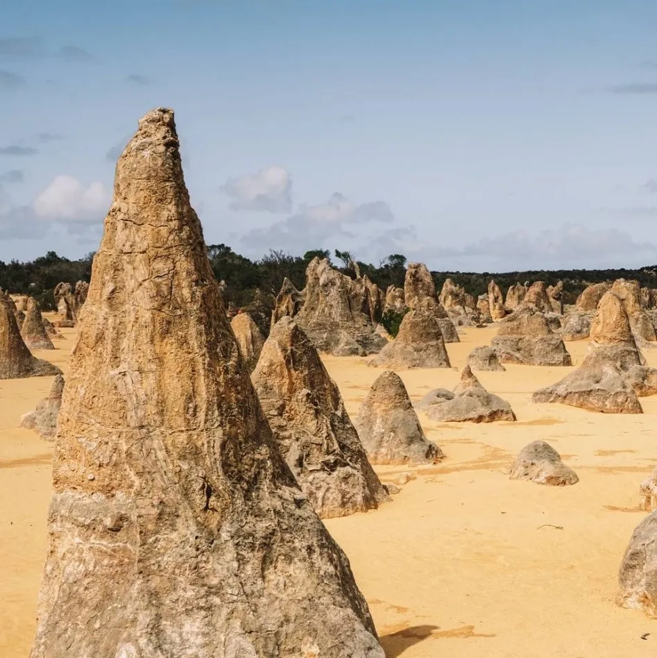 The Pinnacles Desert