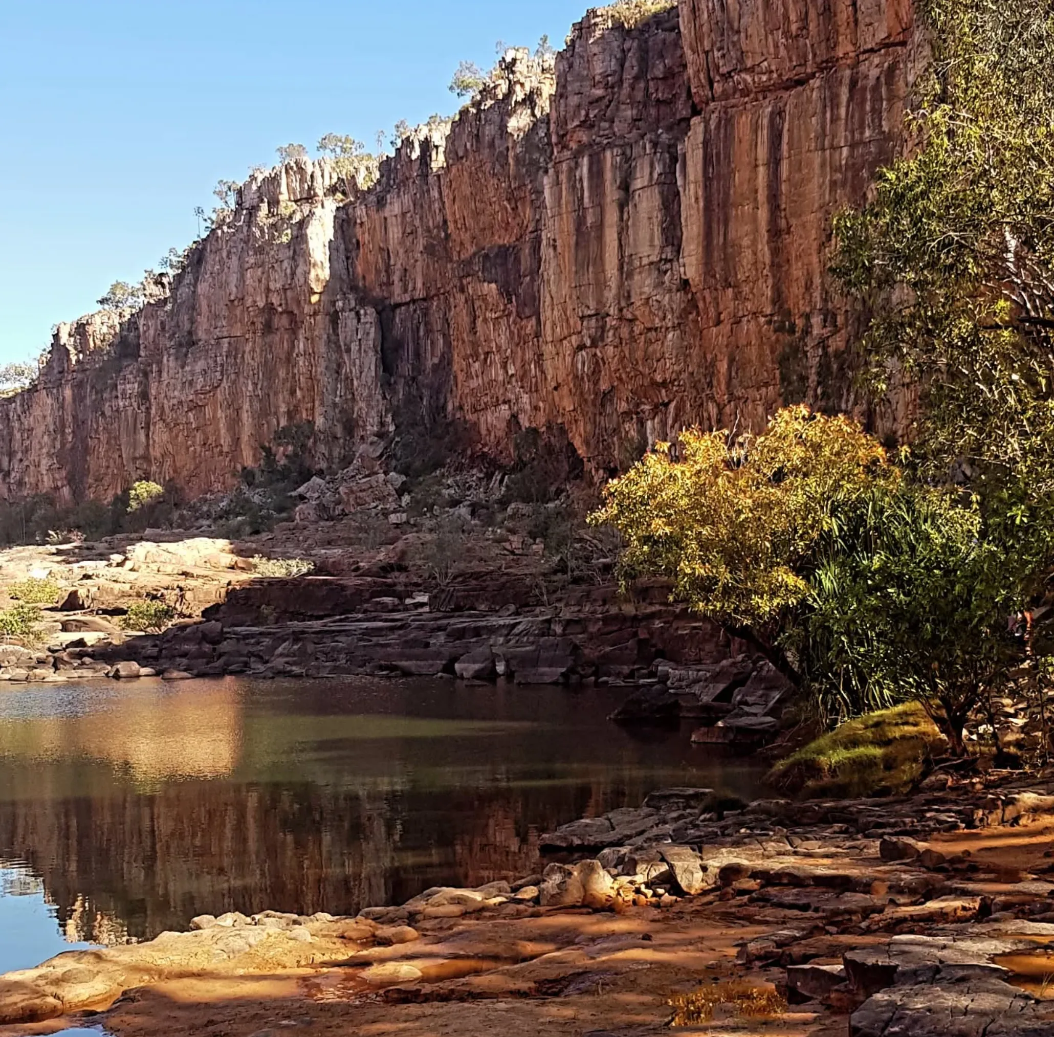 Wildlife Encounters Spotting Native Species in Katherine Gorge