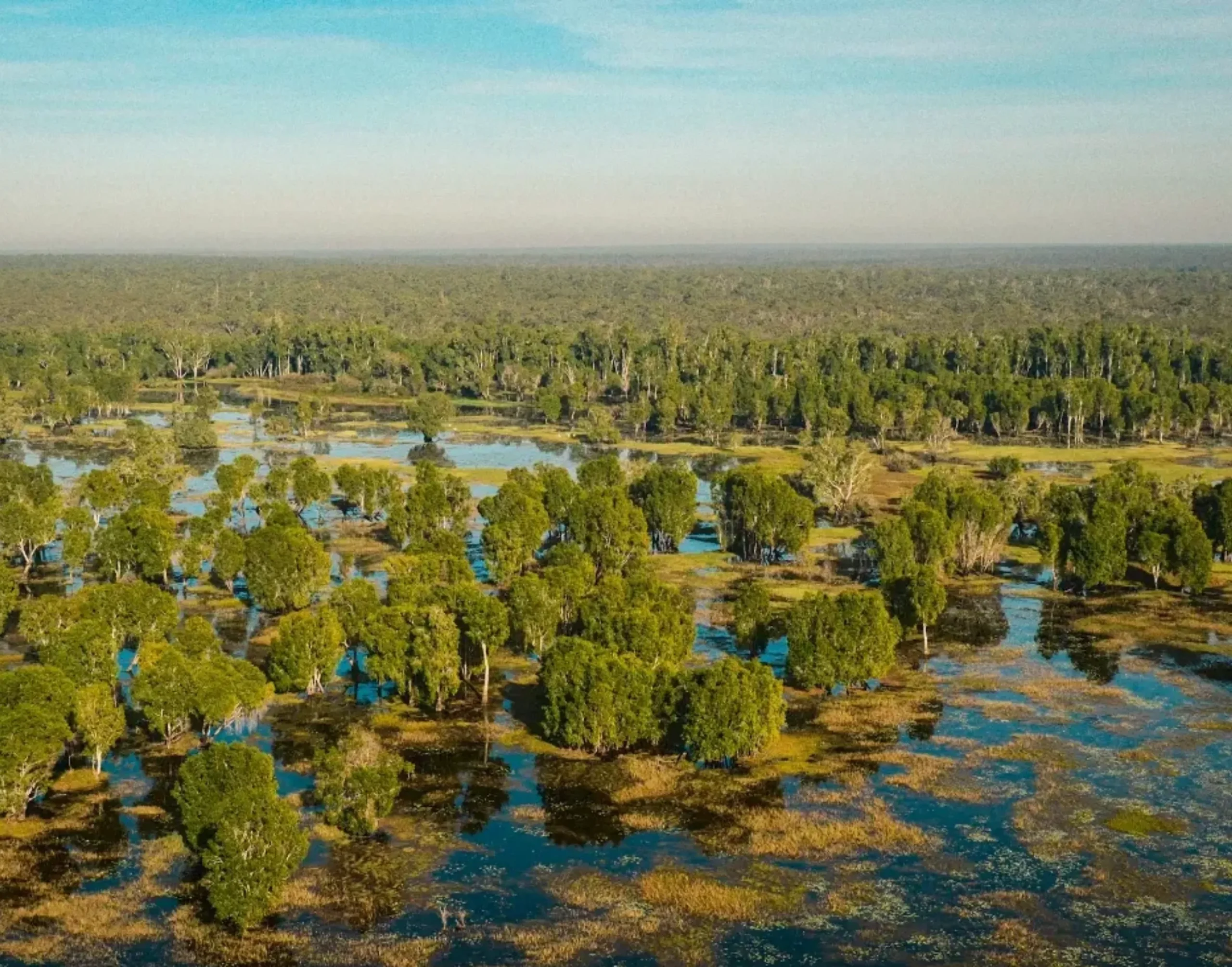 Wet Season, Kakadu