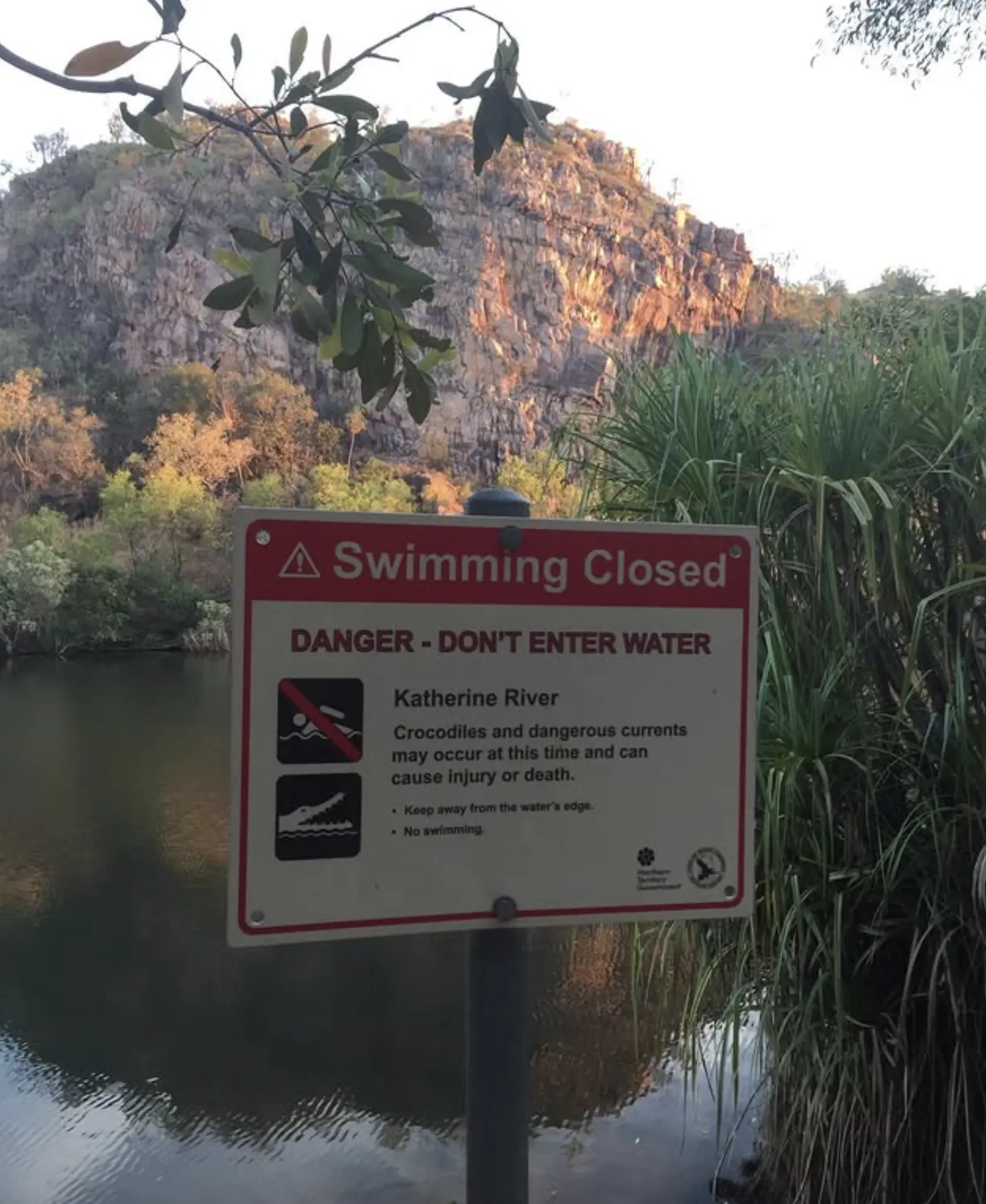 Nitmiluk National Park saltwater crocodiles