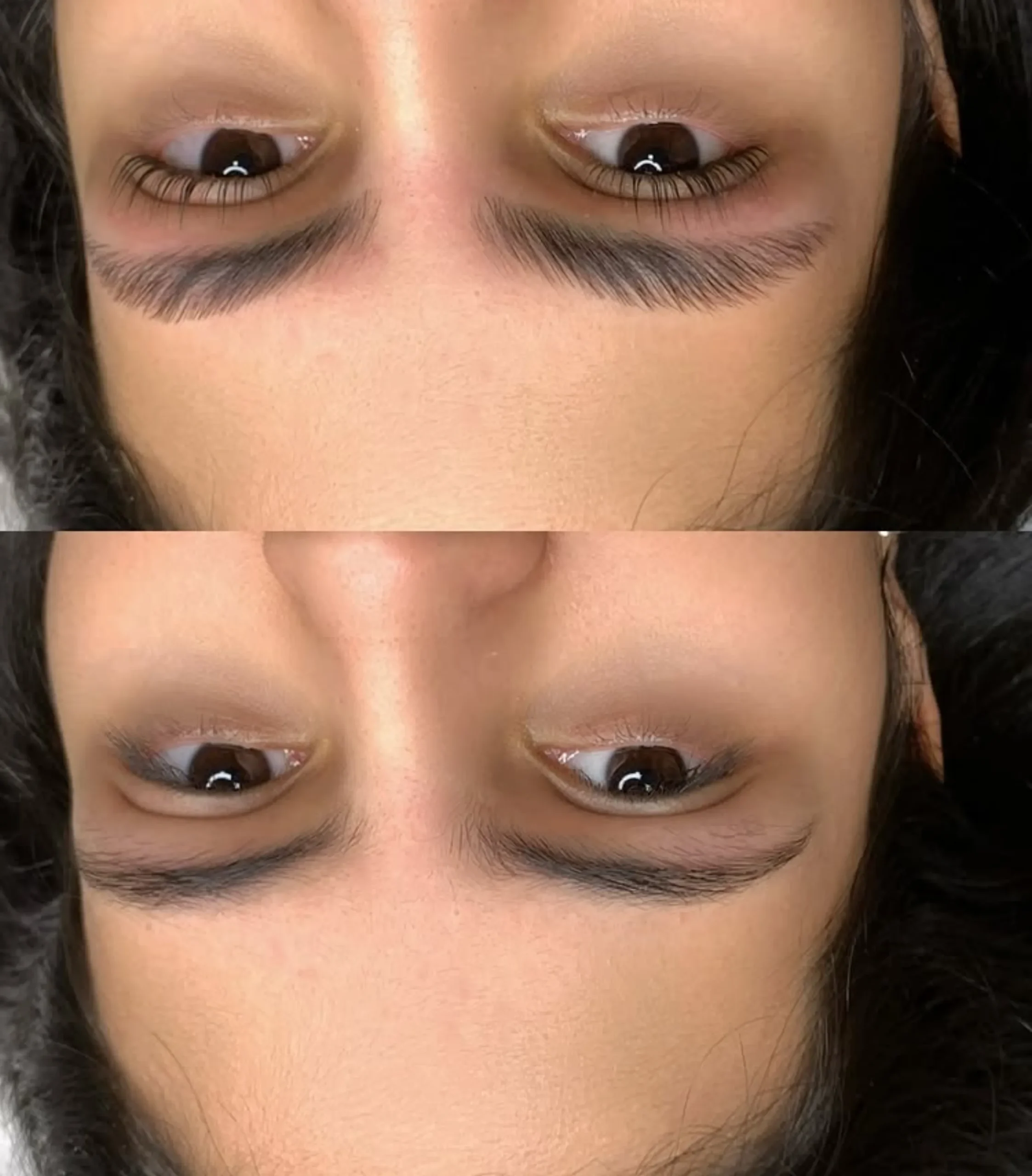 powder brows vs microblading