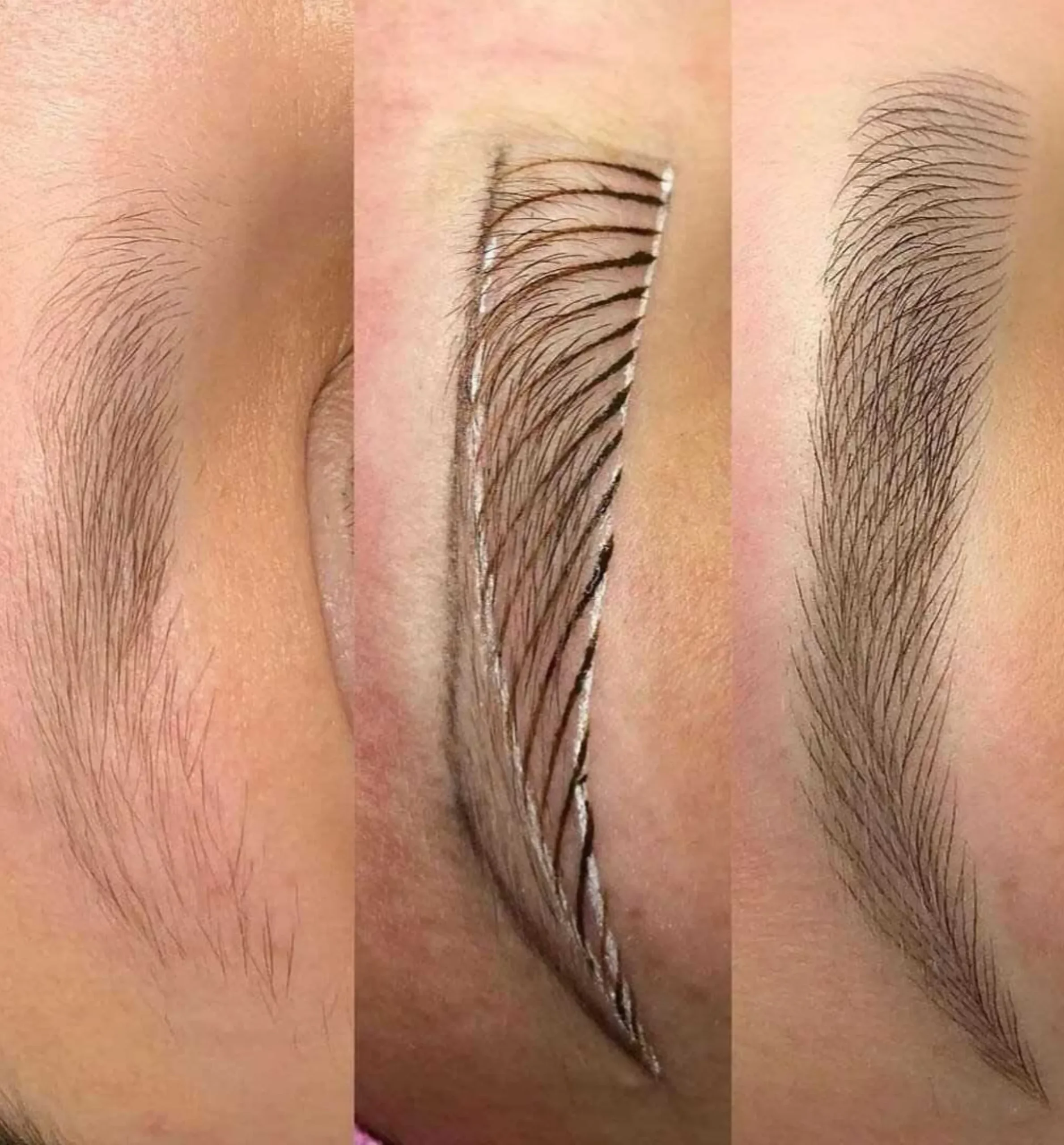 microblading live model training