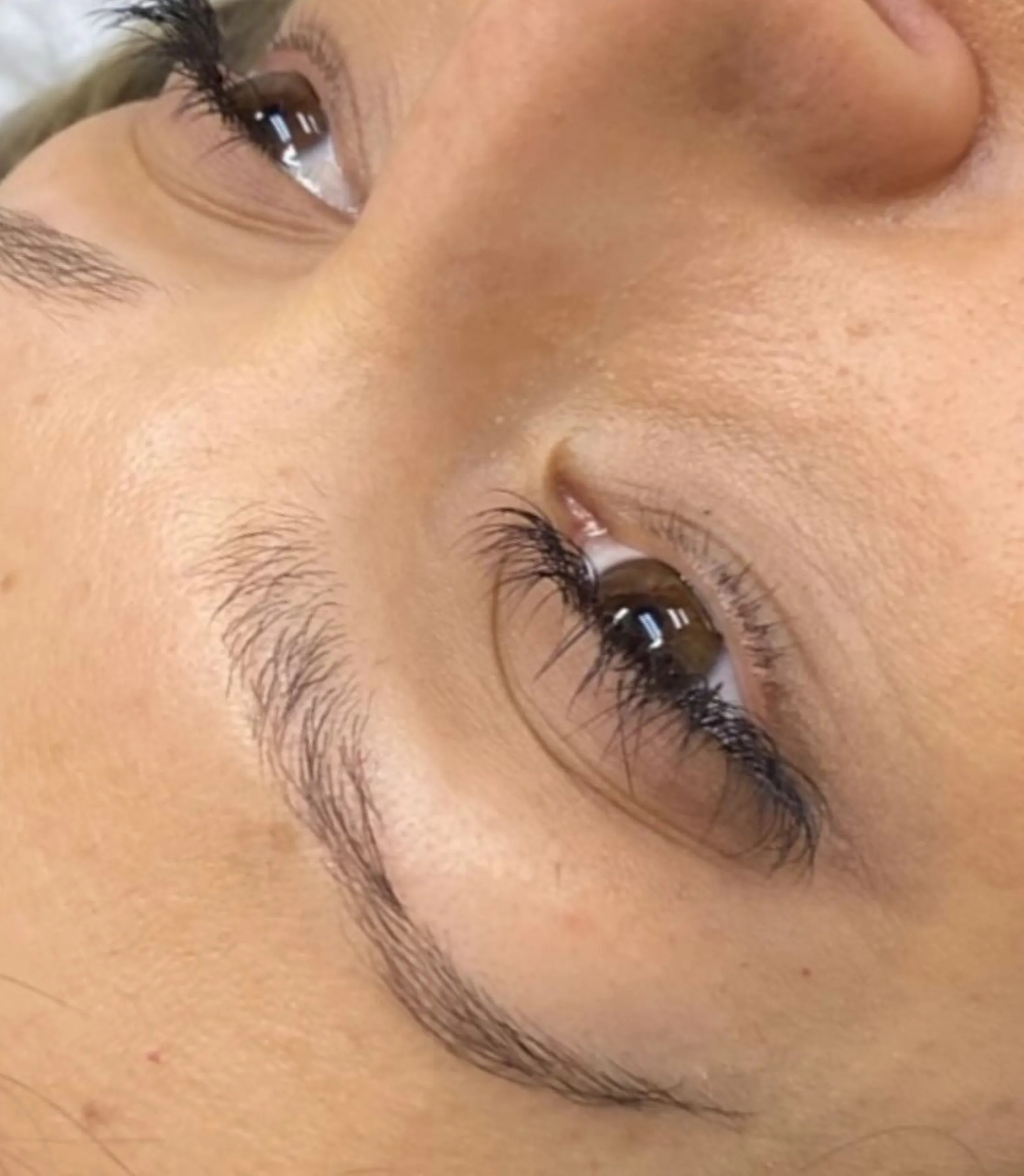 microblading vs brow tattoo training